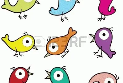 pajaros