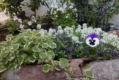 jardÃ­n