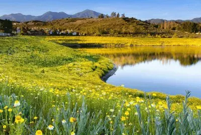 Paisatje jigsaw puzzle