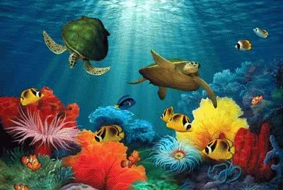 Coral Sea Mural by David Miller