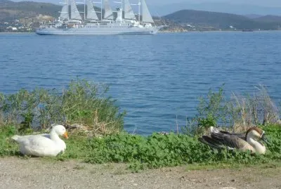 פאזל של gythion