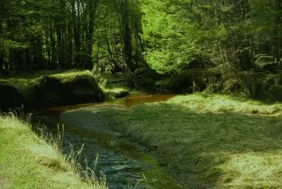 Ushuaia. Tierra del Fuego. Argentina