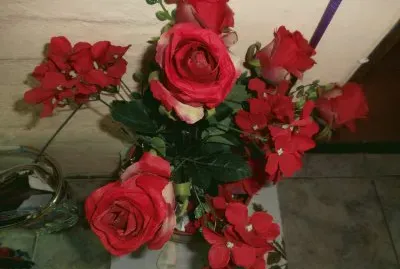 ROSAS