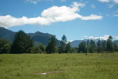 Sur de Chile,RiÃ±inahue