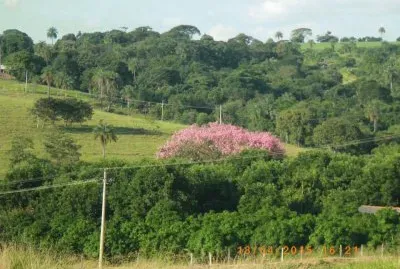 פאזל של Bela Natureza