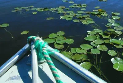 Arroyo Feliciano. Entre RÃ­os. Argentina