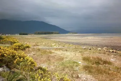 Camino a Pto Montt jigsaw puzzle