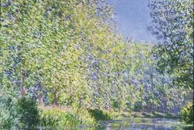 161 jigsaw puzzle