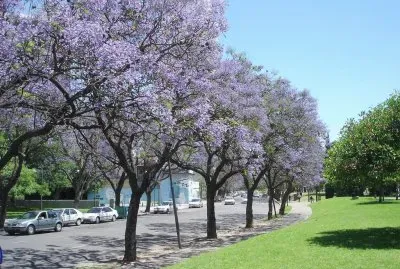 Rosario. Santa Fe. Argentina