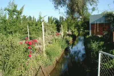 En Gral. Alvear. Mendoza. Argentina