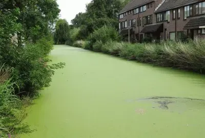 Alphen aan den Rijn. Holanda