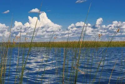 Esteros del IberÃ¡. Corrientes. Argentina