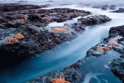 En la Costa Oeste de Nueva Zelanda