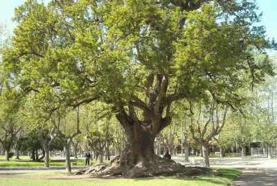 En Mar del Plata. Buenos Aires. Argentina