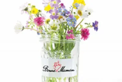 fleurs des champs