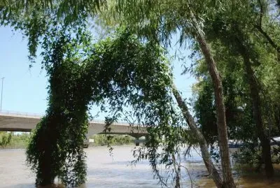 En Victoria. Entre RÃ­os. Argentina