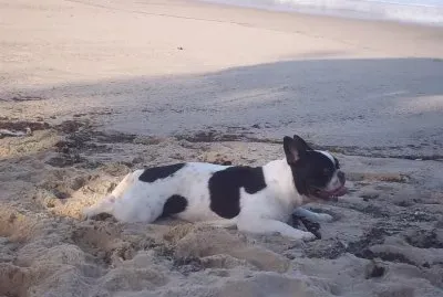 Descansando na Praia