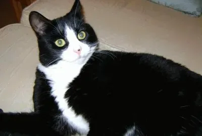 Missy