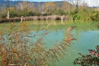 Banyoles-Estany