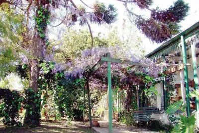 En Pergamino. Buenos Aires. Argentina