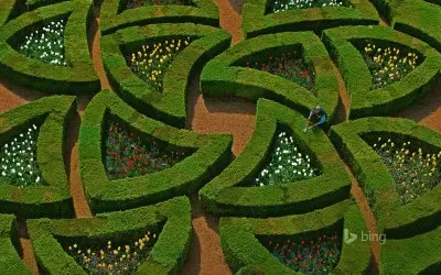 Bing image jigsaw puzzle