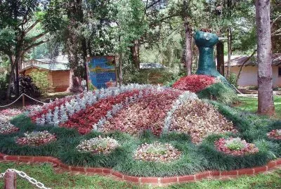 En Montecarlo. Misiones. Argentina
