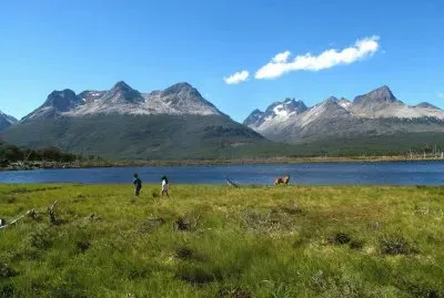 A la vera de la RN 3. Tierra del Fuego. Argentina