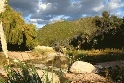 Papagayos. San Luis. Argentina