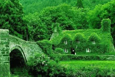 verde