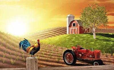 granja