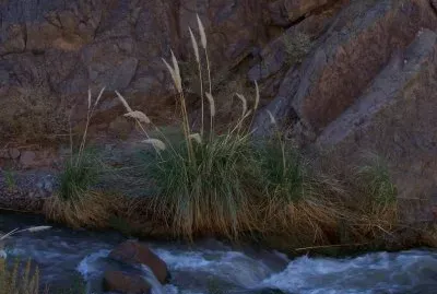 Quebrada Las Angosturas. Catamarca. Argentina