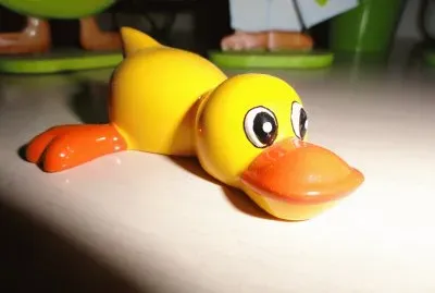 canard jigsaw puzzle