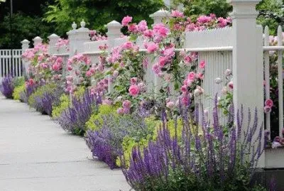 flores