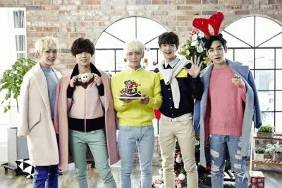 Shawol jigsaw puzzle