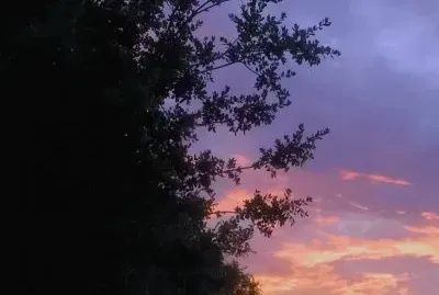 sunset 5