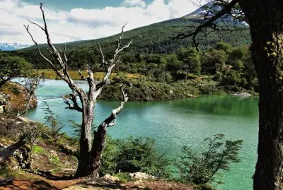 PN Tierra del Fuego. Argentina