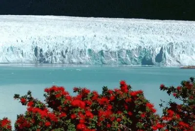 Glaciar Perito Moreno. Patagonia Argentina