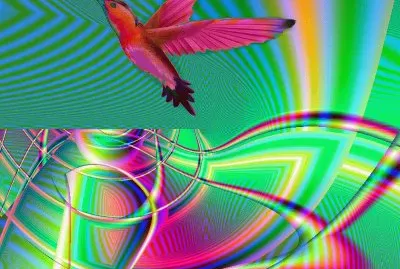 Colorful Hummingbird Flight