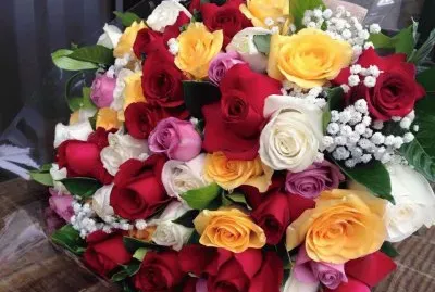 rosas