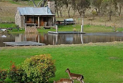 campo