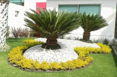jardin