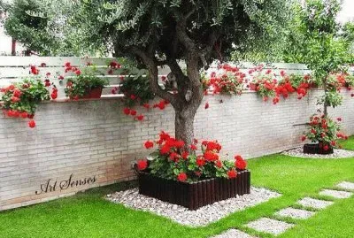 jardin