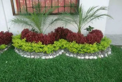 jardin