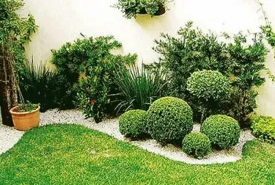 jardin