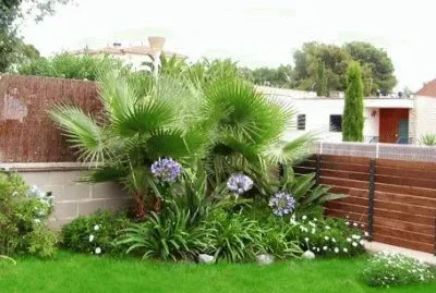 jardin