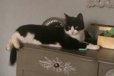 Liberty 2 jigsaw puzzle