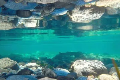 En el Lago Lolog. NeuquÃ©n. Argentina