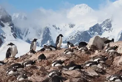 En la AntÃ¡rtida Argentina