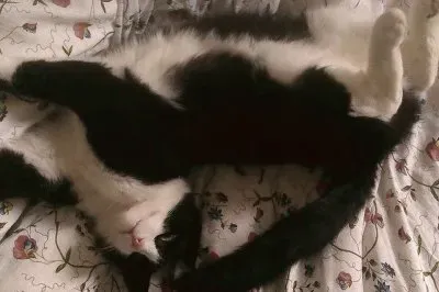 Liberty 3 jigsaw puzzle