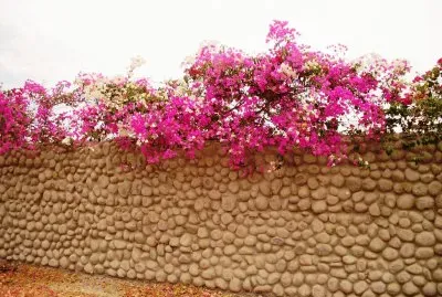 Natureza